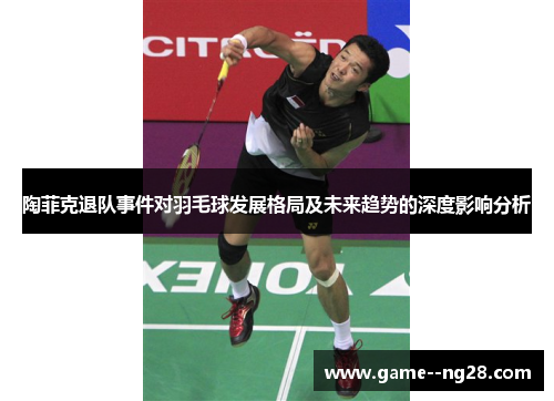 陶菲克退队事件对羽毛球发展格局及未来趋势的深度影响分析 陶菲克退队事件对羽毛球发展格局及未来趋势的深度影响分析