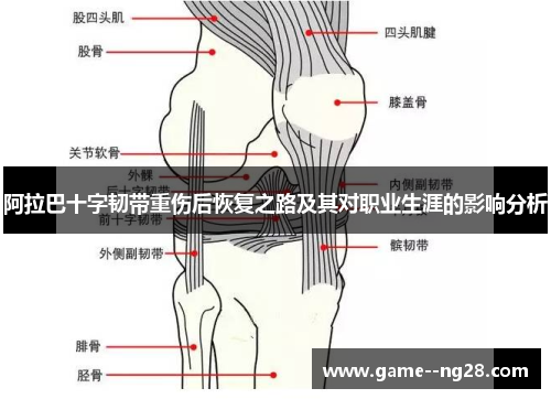 阿拉巴十字韧带重伤后恢复之路及其对职业生涯的影响分析