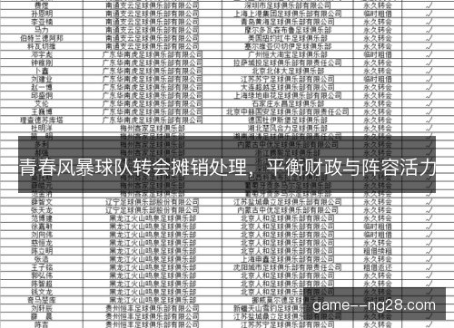 青春风暴球队转会摊销处理，平衡财政与阵容活力