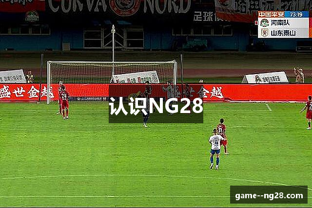 认识NG28